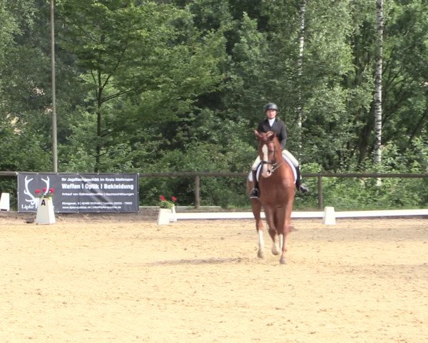 Reitturnier Erkrath - Uhlenhof 2016