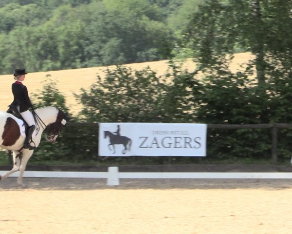 Reitturnier Erkrath - Uhlenhof 2016