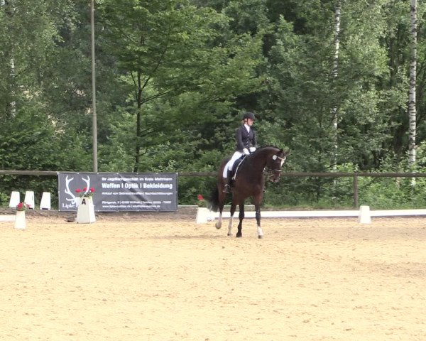 Reitturnier Erkrath - Uhlenhof 2016