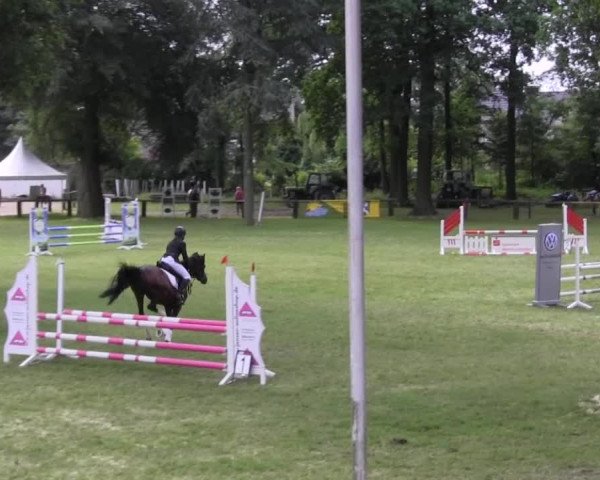 Ponyturnier Billerbeck 2016