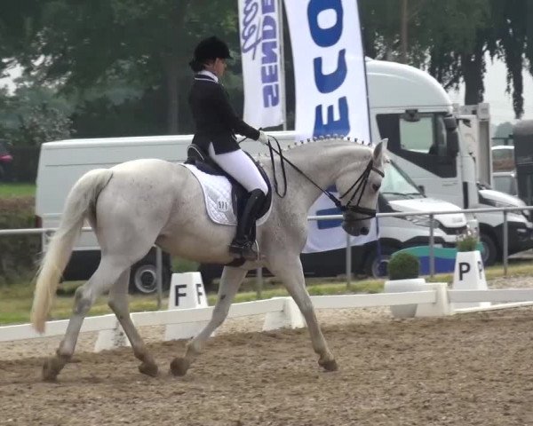 Heinsberger Dressur- und Springtage 2016