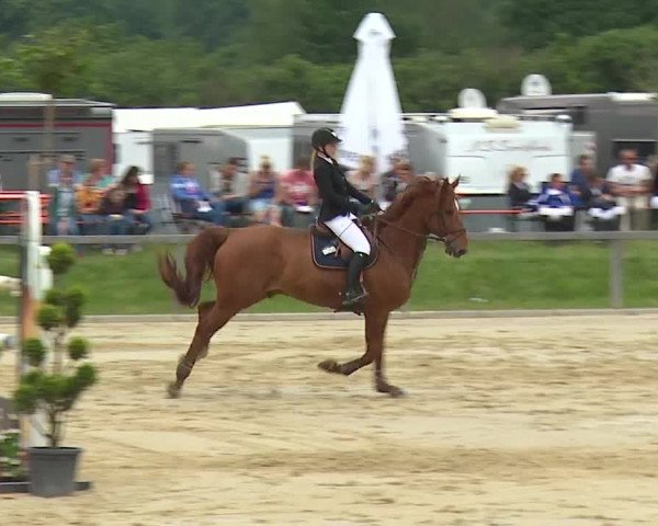 Reitturnier Detter 2016