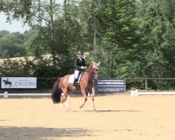 Reitturnier Erkrath - Uhlenhof 2016