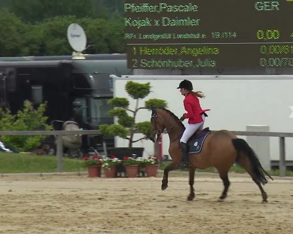 Reitturnier Detter 2016