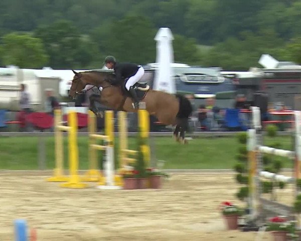 Reitturnier Detter 2016
