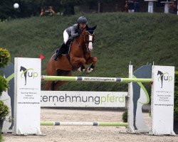 jumper Glosokka (Belgian Warmblood, 2012, from Farfelu de Muze)