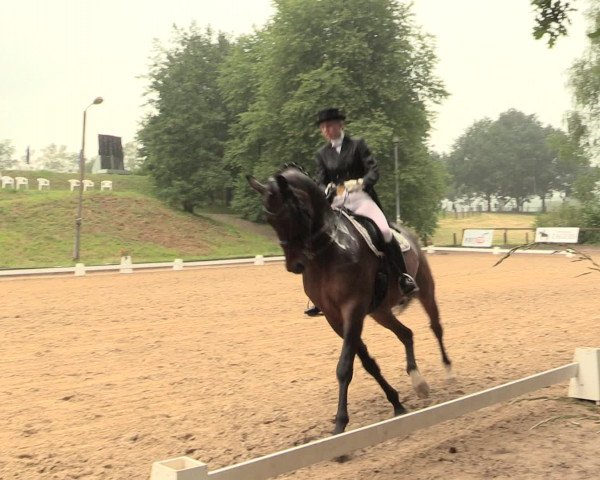 Reitturnier Erkrath - Uhlenhof 2016