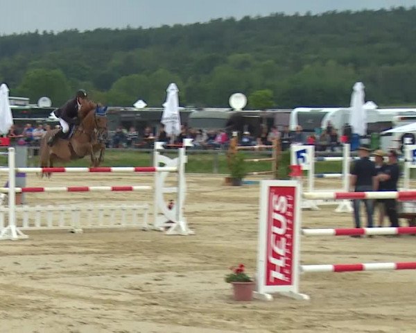 Reitturnier Detter 2016