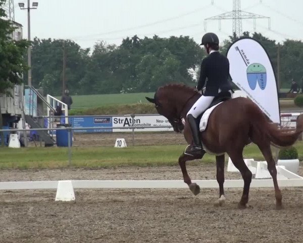 Heinsberger Dressur- und Springtage 2016