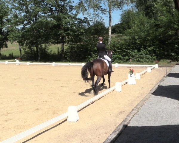 Reitturnier Erkrath - Uhlenhof 2016