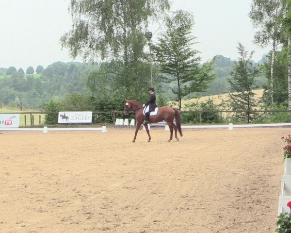 Reitturnier Erkrath - Uhlenhof 2016
