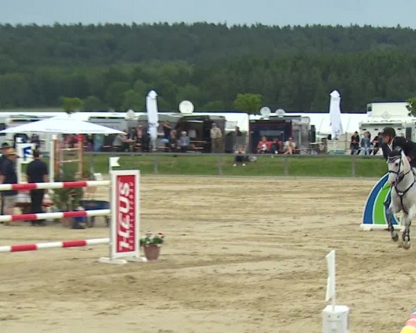 Reitturnier Detter 2016