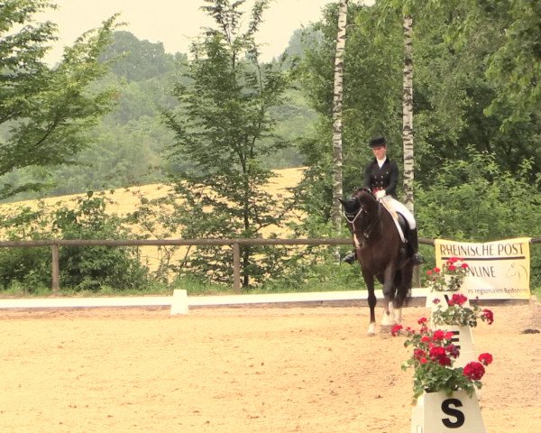 Reitturnier Erkrath - Uhlenhof 2016