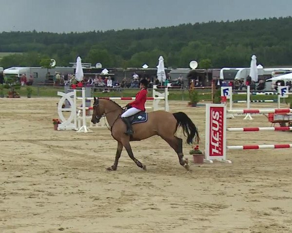 Reitturnier Detter 2016