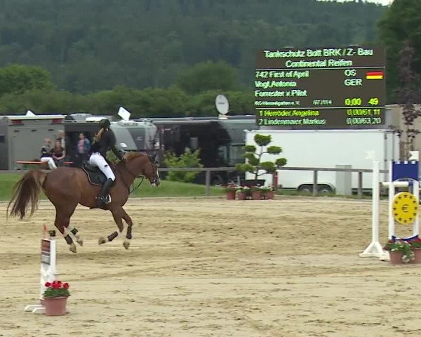 Reitturnier Detter 2016
