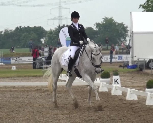 Heinsberger Dressur- und Springtage 2016