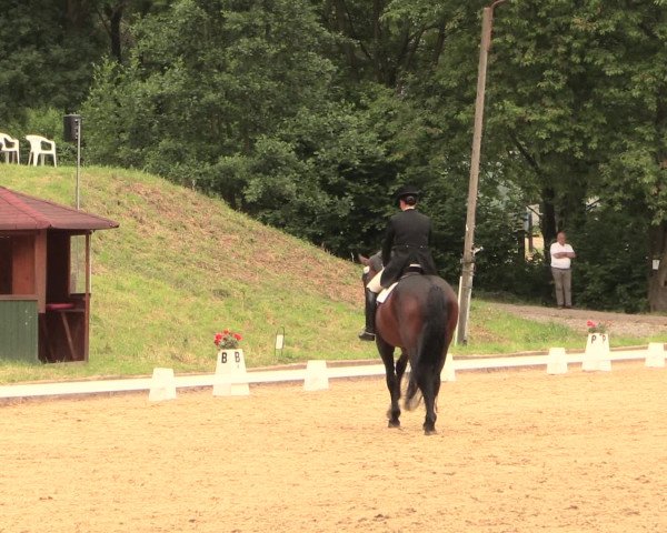 Reitturnier Erkrath - Uhlenhof 2016