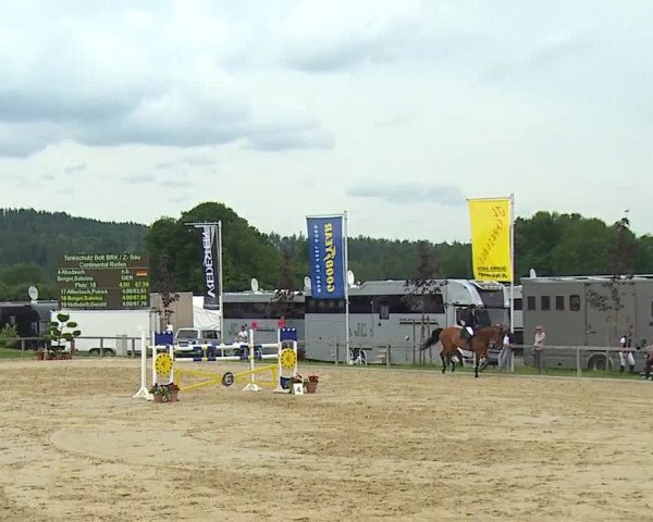 Reitturnier Detter 2016