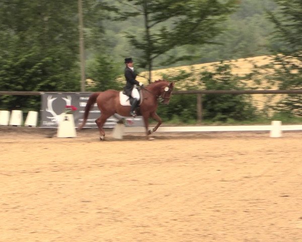 Reitturnier Erkrath - Uhlenhof 2016