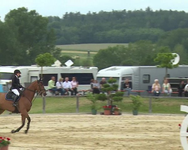 Reitturnier Detter 2016