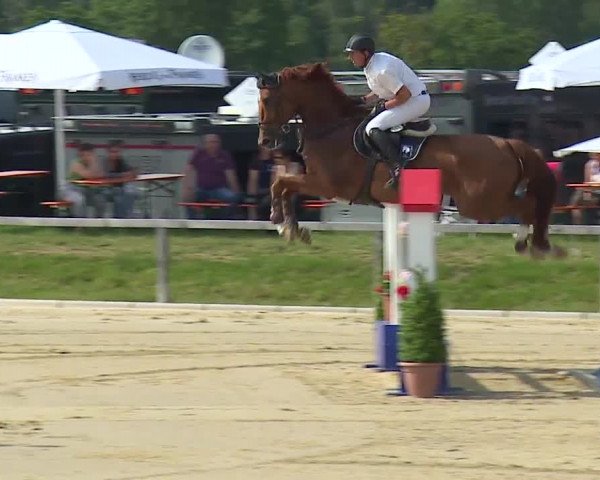 Reitturnier Detter 2016