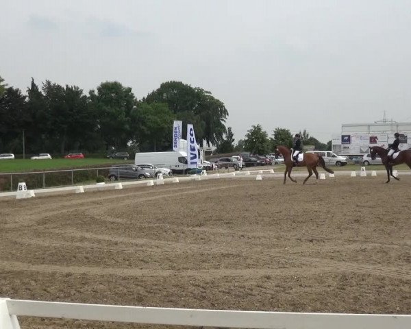 Heinsberger Dressur- und Springtage 2016