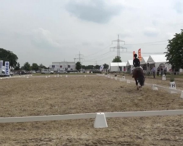 Heinsberger Dressur- und Springtage 2016