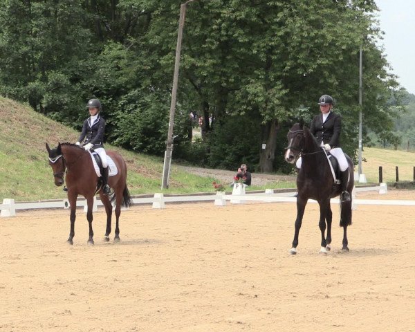 Reitturnier Erkrath - Uhlenhof 2016