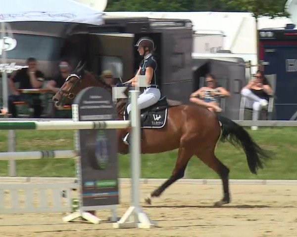 Reitturnier Detter 2016