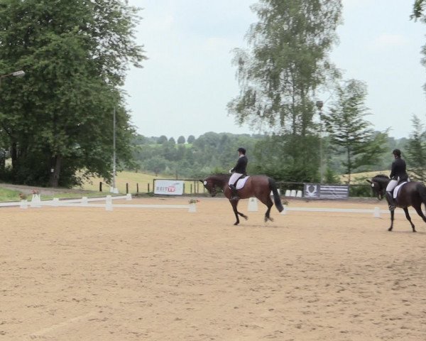 Reitturnier Erkrath - Uhlenhof 2016