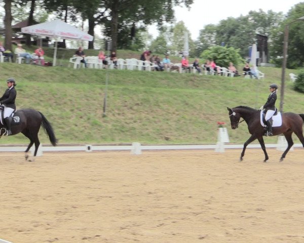 Reitturnier Erkrath - Uhlenhof 2016