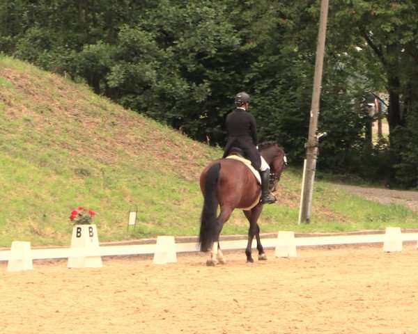 Reitturnier Erkrath - Uhlenhof 2016