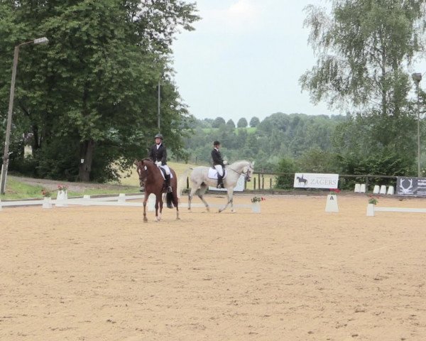 Reitturnier Erkrath - Uhlenhof 2016