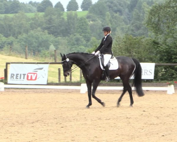 Reitturnier Erkrath - Uhlenhof 2016