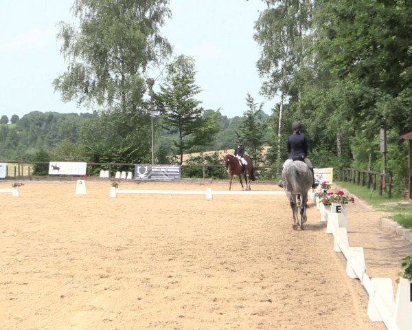 Reitturnier Erkrath - Uhlenhof 2016