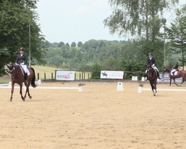Reitturnier Erkrath - Uhlenhof 2016
