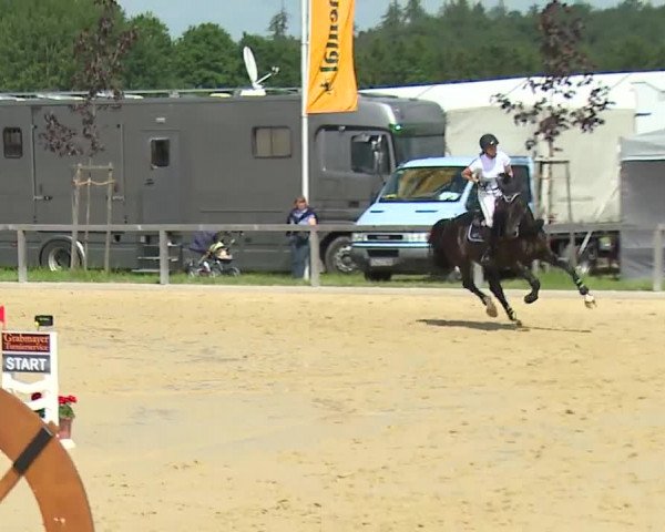 Reitturnier Detter 2016