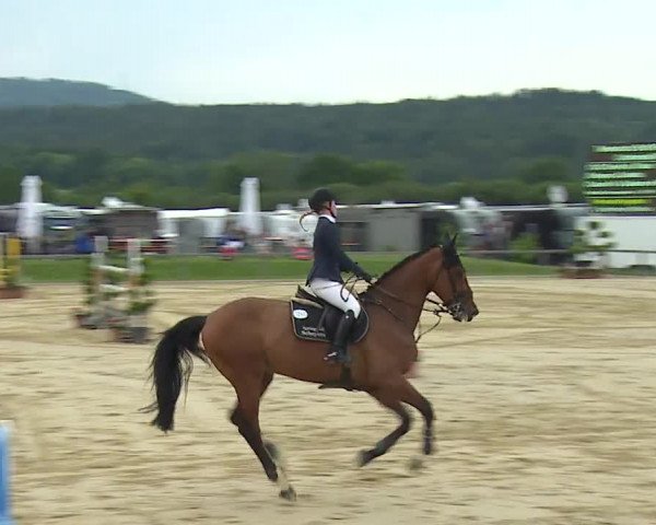 Reitturnier Detter 2016