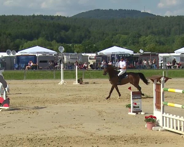 Reitturnier Detter 2016