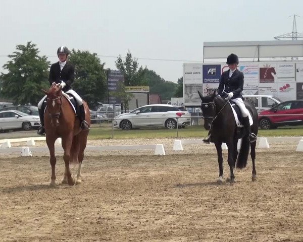Heinsberger Dressur- und Springtage 2016