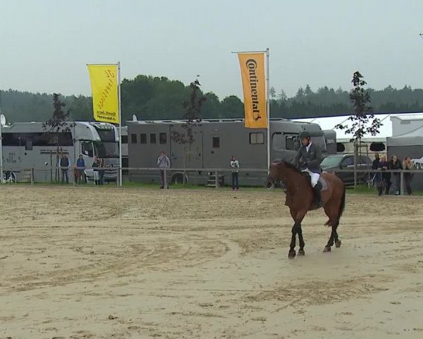 Reitturnier Detter 2016