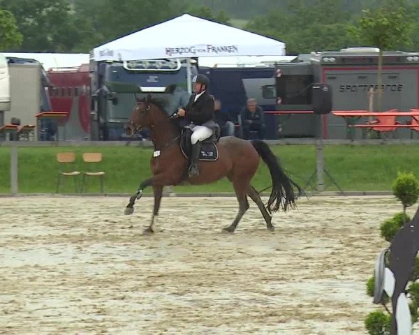 Reitturnier Detter 2016