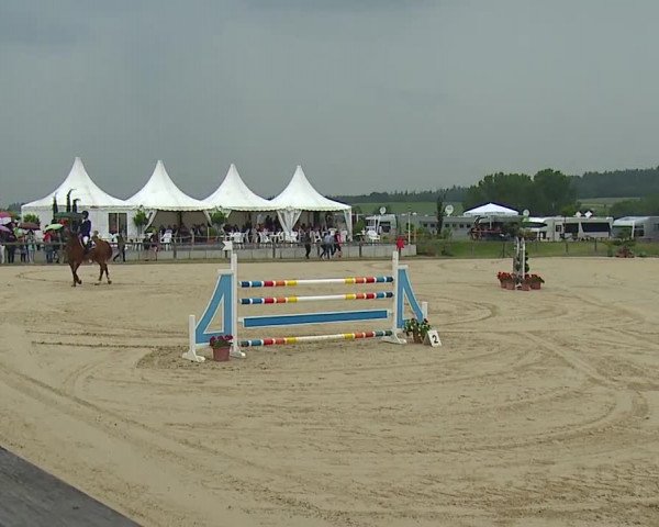 Reitturnier Detter 2016