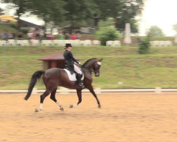 Reitturnier Erkrath - Uhlenhof 2016