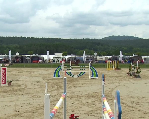 Reitturnier Detter 2016