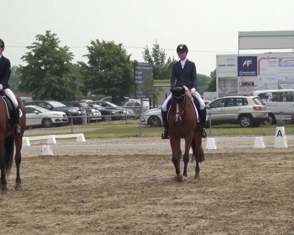 Heinsberger Dressur- und Springtage 2016