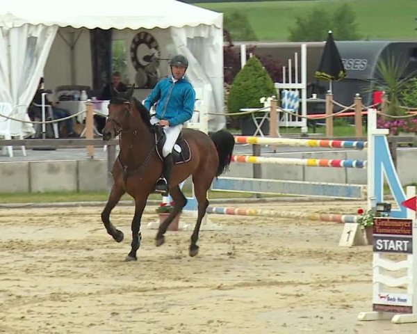 Reitturnier Detter 2016