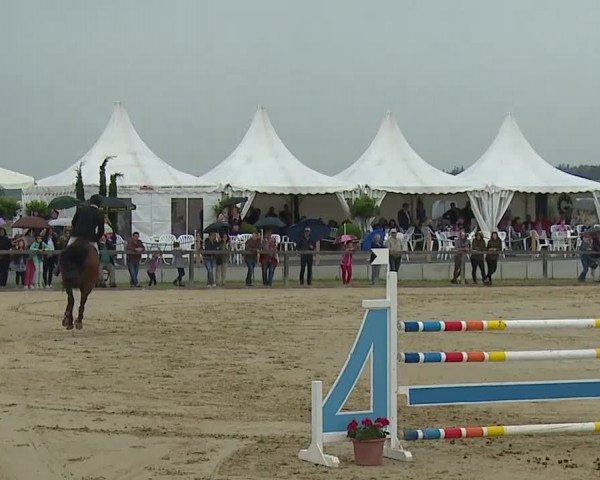 Reitturnier Detter 2016