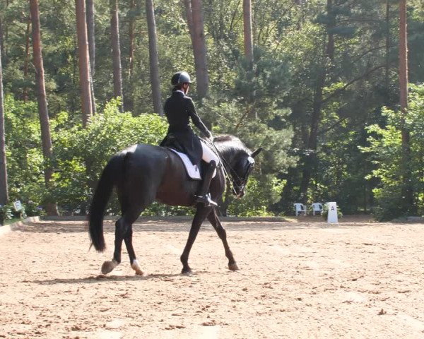 Dannenberger Reitertage 2021