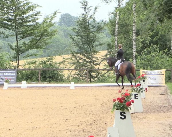 Reitturnier Erkrath - Uhlenhof 2016
